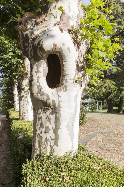 Bricco Pogliani Hotel Castell'Alfero Exterior photo